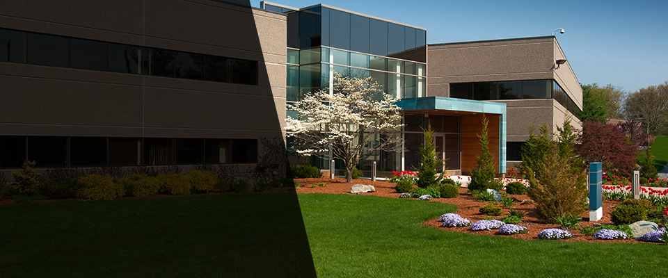 Tylersport Landscapers