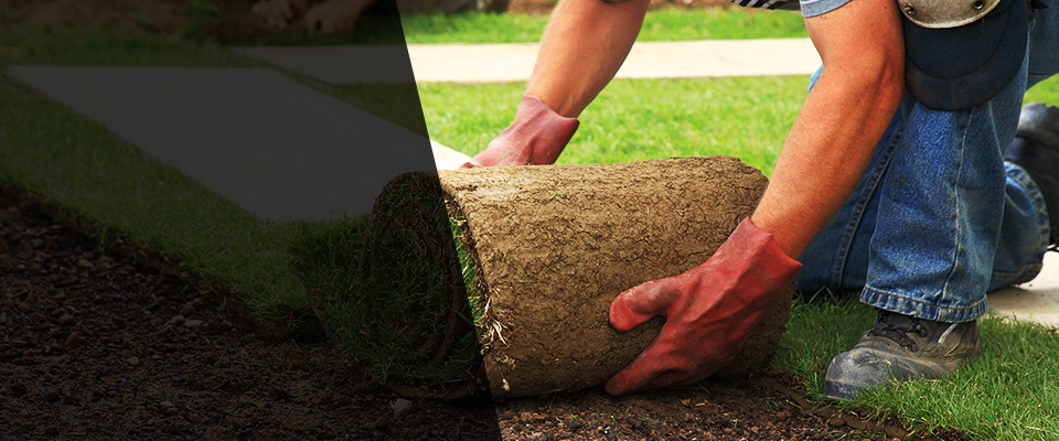 Tylersport Landscapers